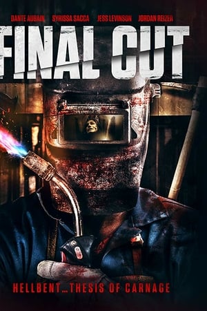 Окончательный монтаж онлайн